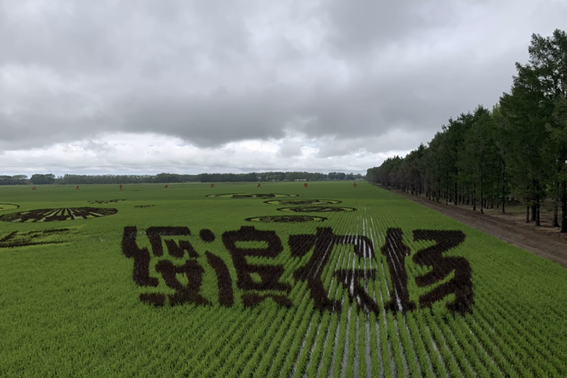 Suibin Farm